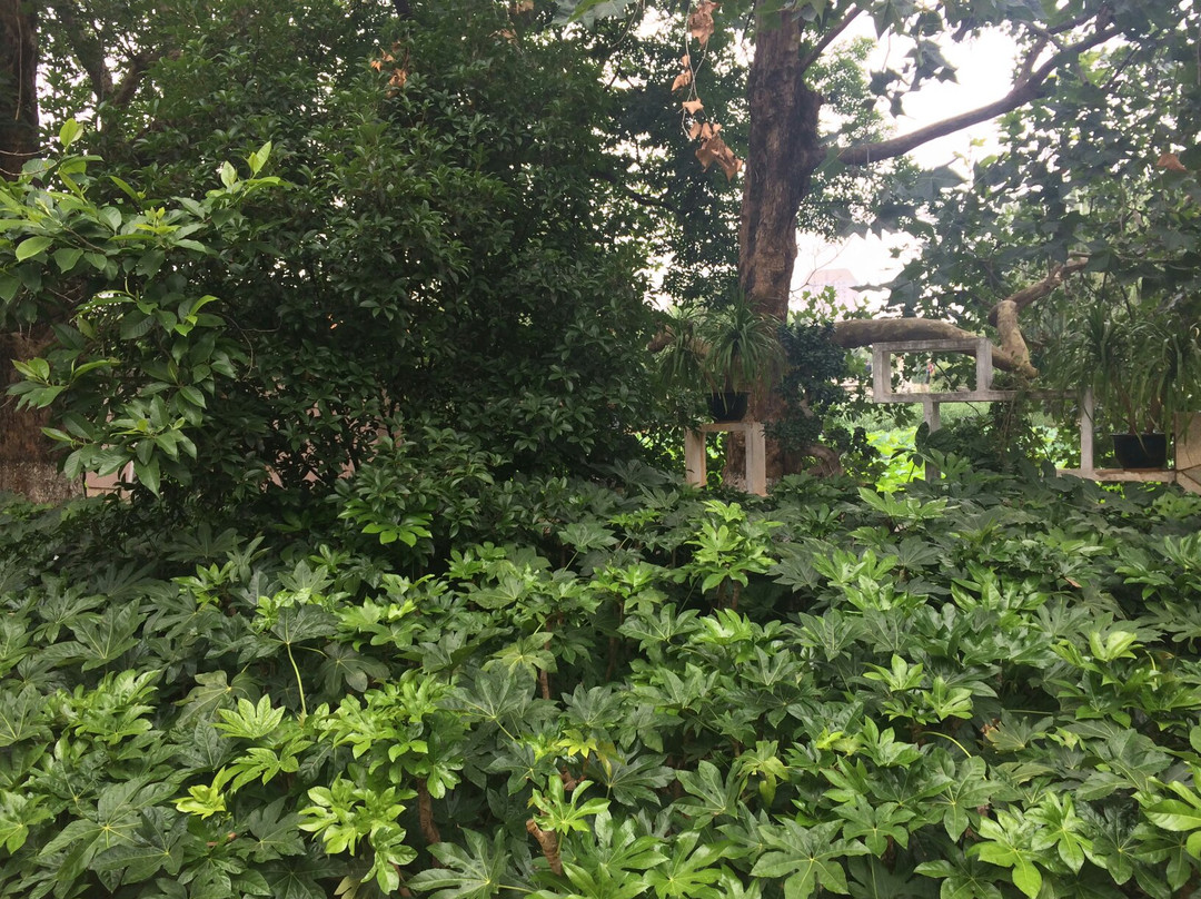 昆明郊野公园景点图片