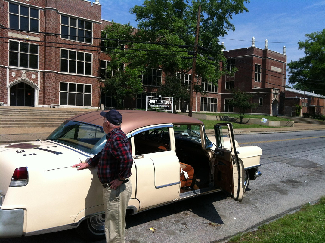 American Dream Safari-孟菲斯必去景点