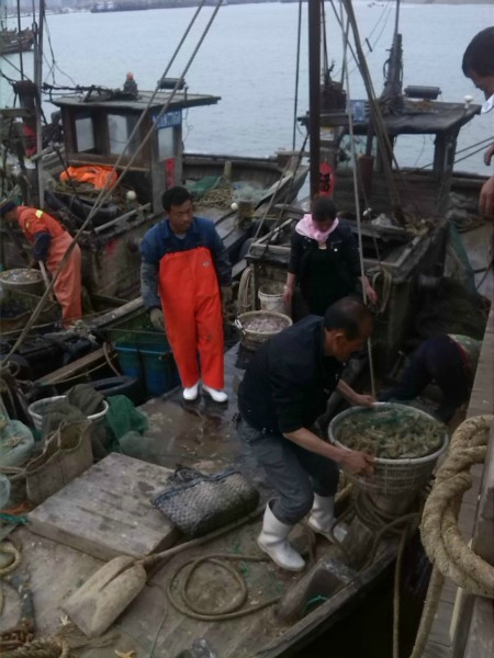 日照任家台度假村-日照市必去景点