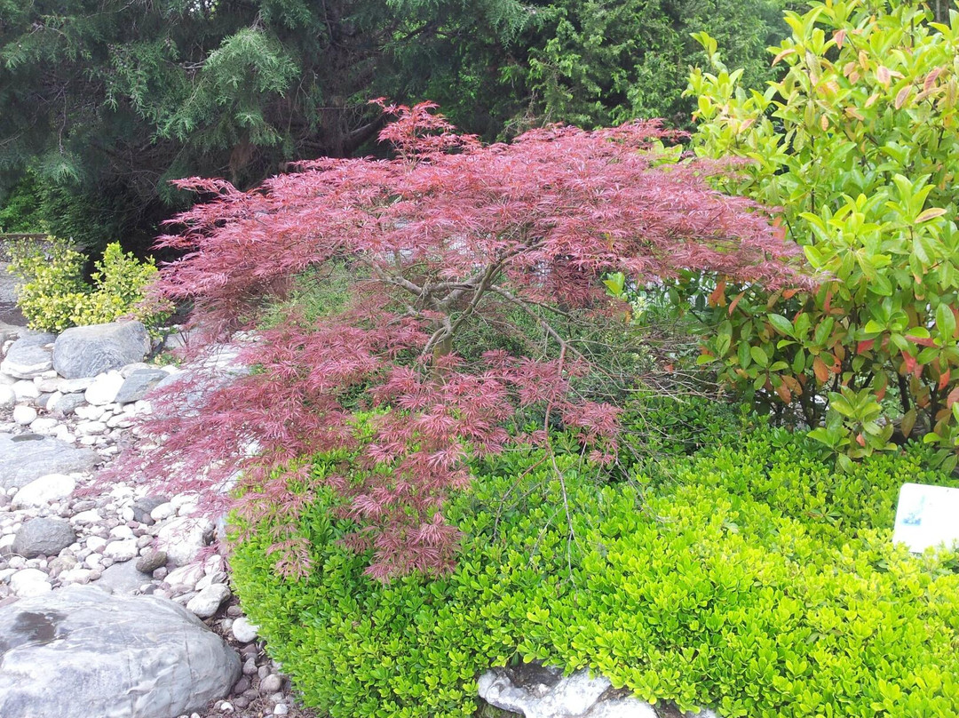 Ataturk Arboretumu-伊斯坦布尔必去景点