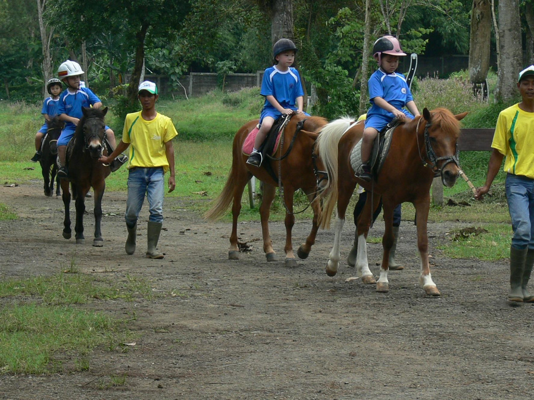 Arthayasa Stables & Country Club景点图片