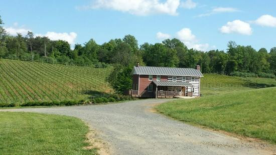 Casanel Vineyards & Winery景点图片
