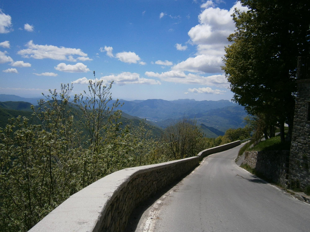 San Pellegrino In Alpe旅游攻略图片