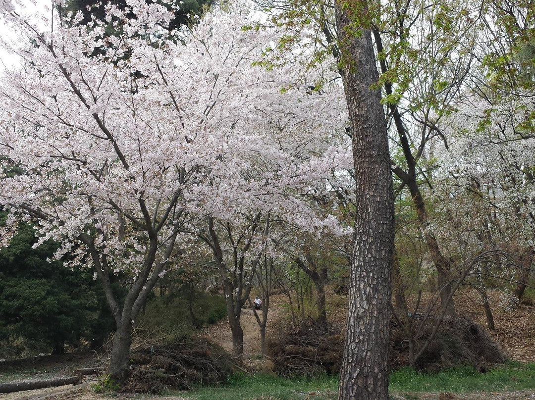 奉恩寺-首尔必去景点