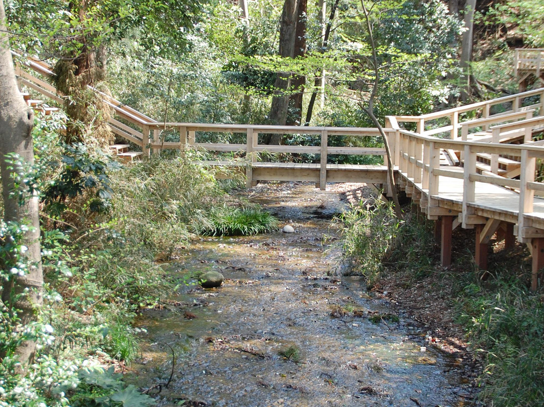 Myoonsawa Special Green Conservation Area-新座市必去景点