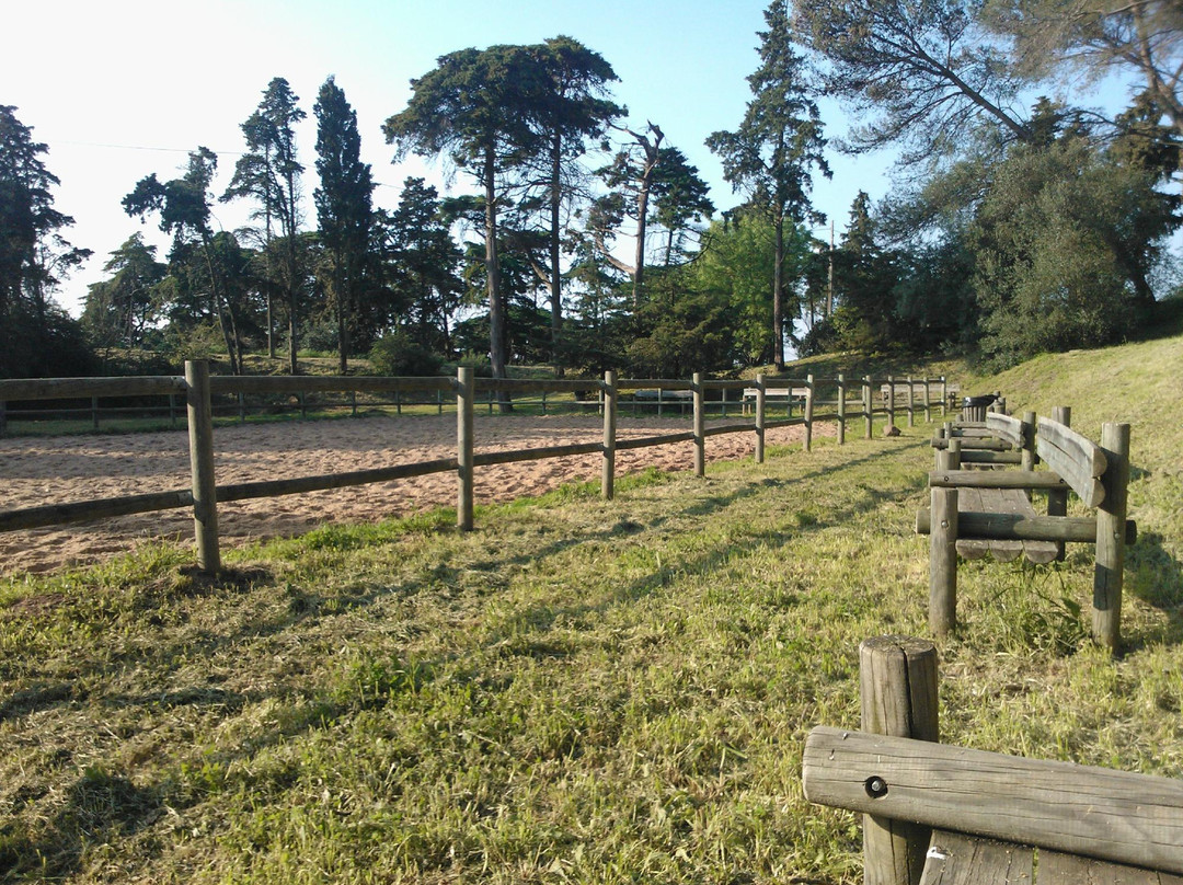 Parque Florestal De Monsanto-里斯本必去景点