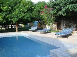 Oasis Relax Lodge主图