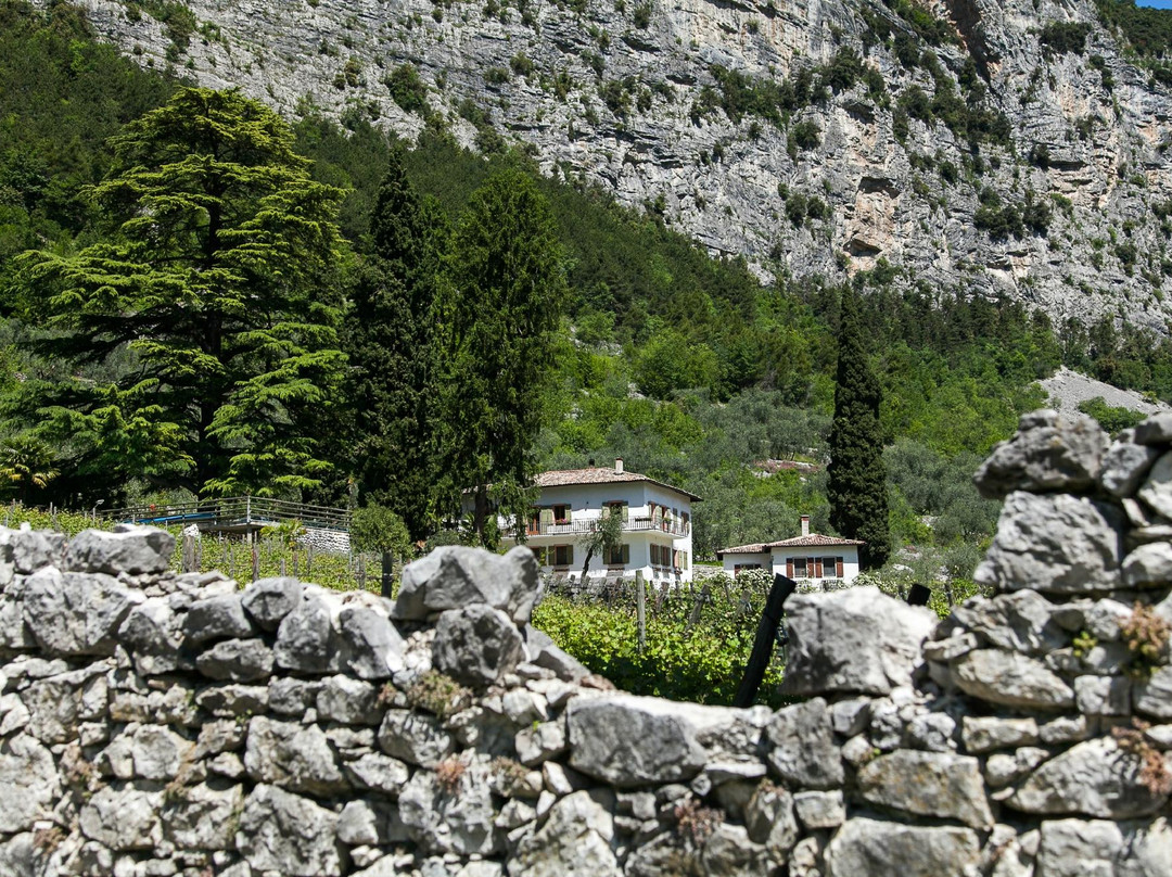 Maso Lizzone Agriturismo主图