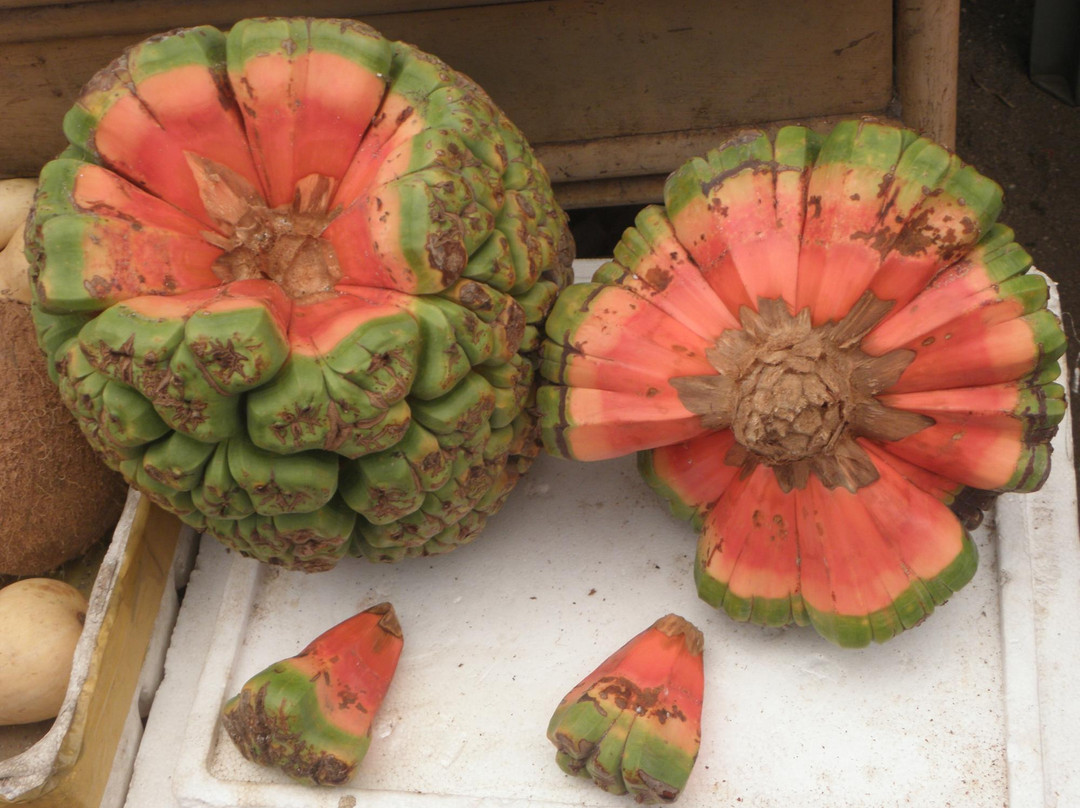 马累男士本地市场-马累必去景点