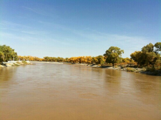 内蒙古额济纳旗胡杨林国家级自然保护区-阿拉善左旗必去景点
