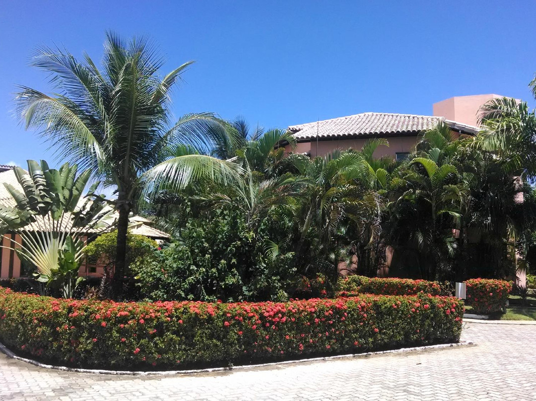 Costa Smeralda Resort主图