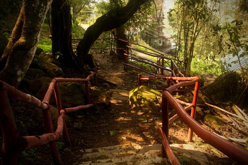 Fun Forest Adventure Park-慕那尔必去景点