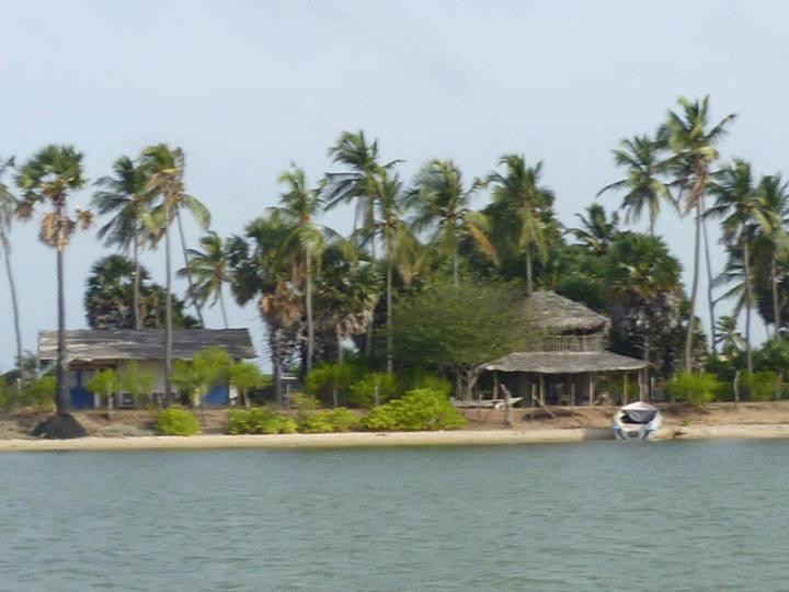 Wind4Love Kite Center Sri Lanka景点图片
