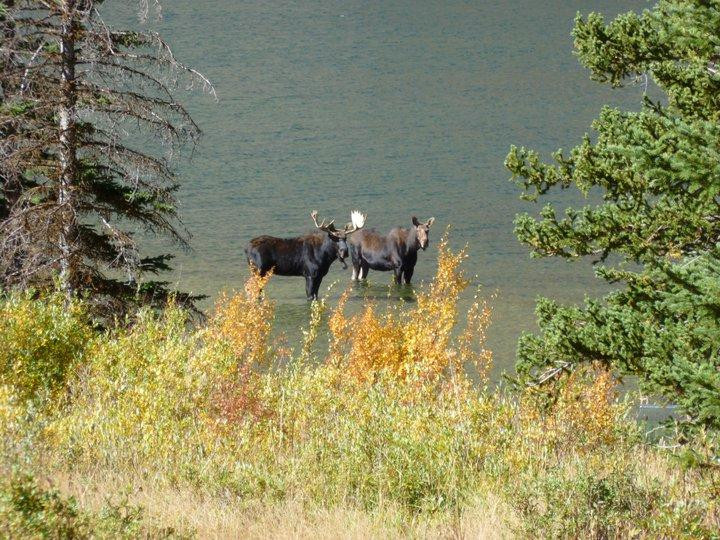 Clarks Fork Trail-库克城必去景点