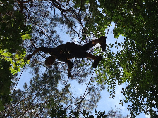 UNO Park VILNIUS-维尔纽斯必去景点