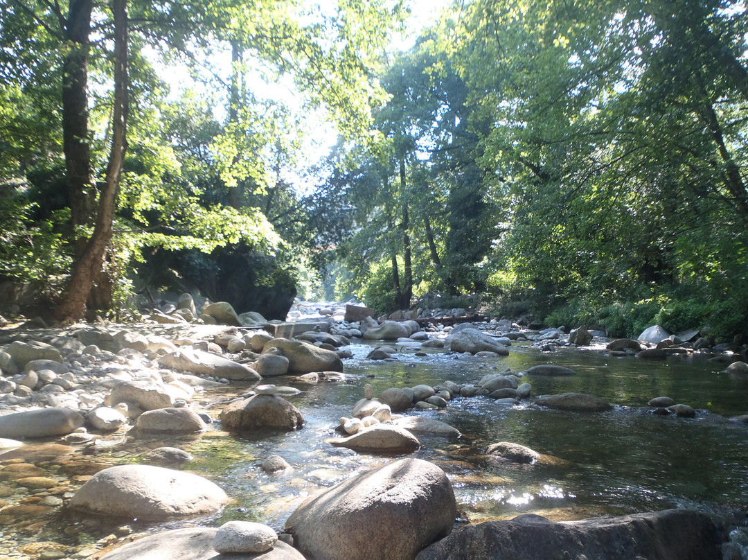 Gorges De La Restonica-科西嘉必去景点