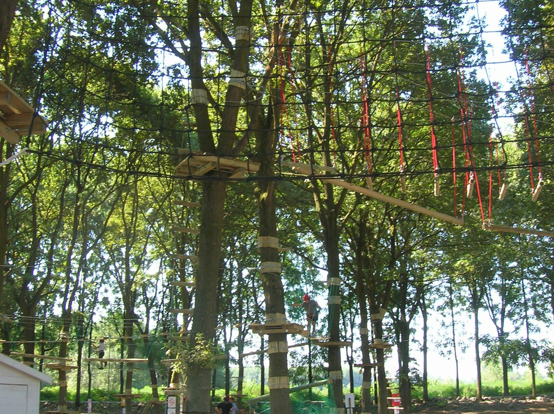 Parco Avventura Luzzara景点图片