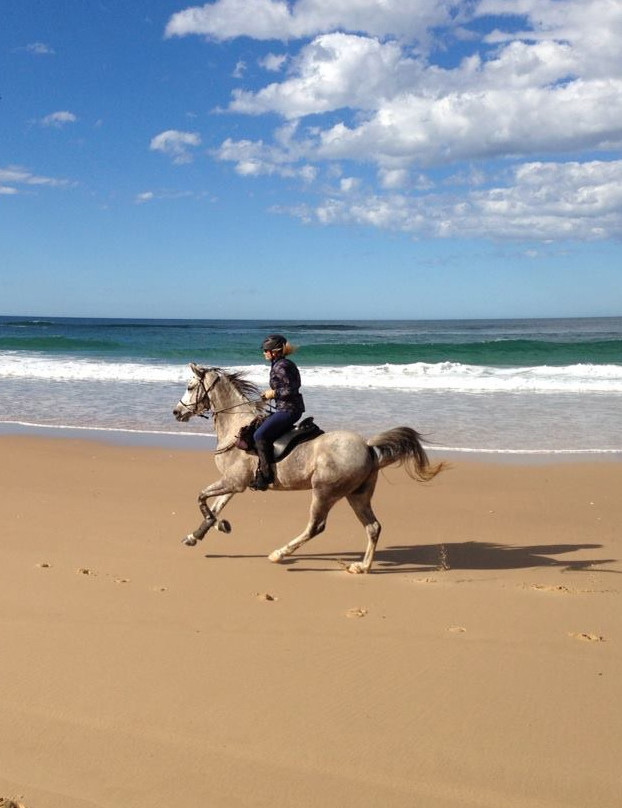 Kerewong Horse Farm Nsw-Lorne必去景点
