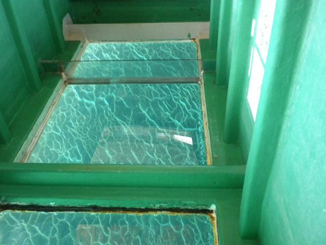 Tatsukushi Marine Sightseeing (Glass-bottomed Boat)-土佐清水市必去景点