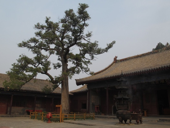 广胜寺-洪洞县必去景点