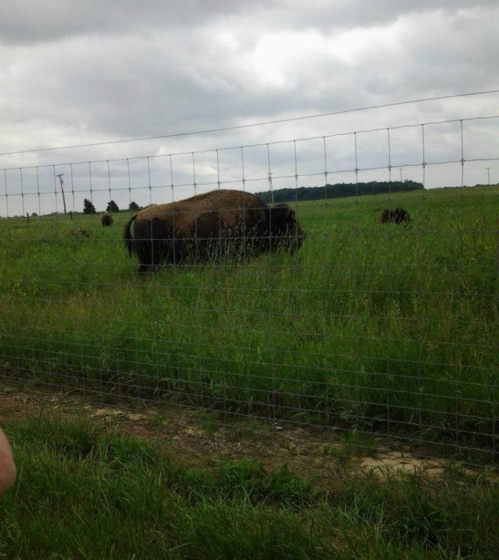 Battelle Darby Creek-Galloway必去景点