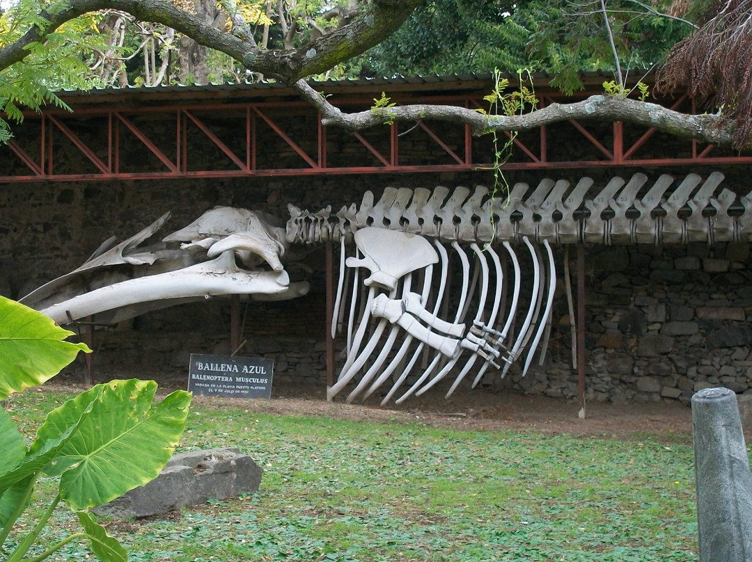 Museo Municipal Dr. Bautista Rebuffo-科洛尼亚·德尔萨克拉门托城必去景点