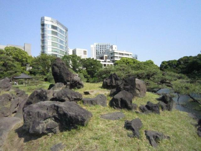 旧芝离宫恩赐庭园-港区必去景点