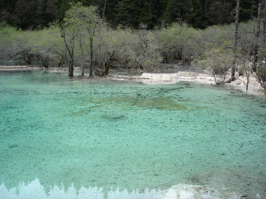 黄龙沟-松潘县必去景点
