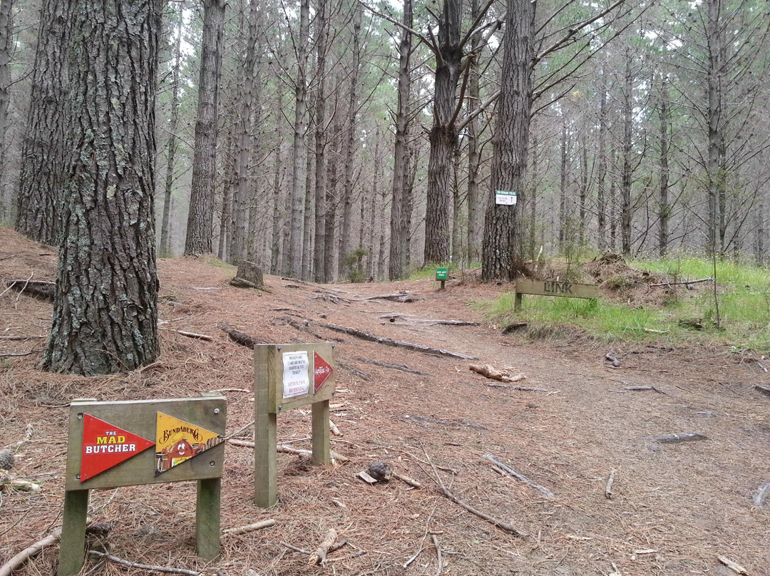 Woodhill Mountain Bike Park景点图片