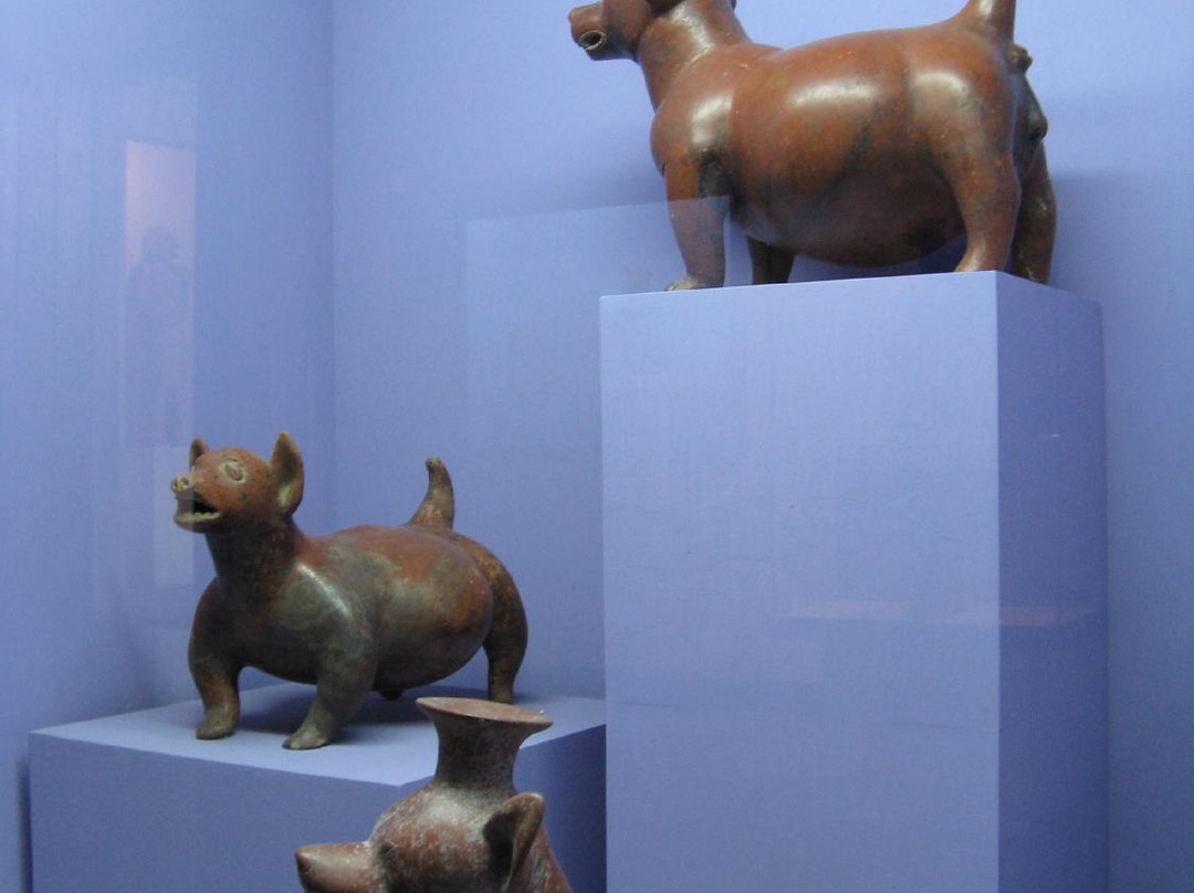 Museo de Arte Prehispánico de México-瓦哈卡必去景点