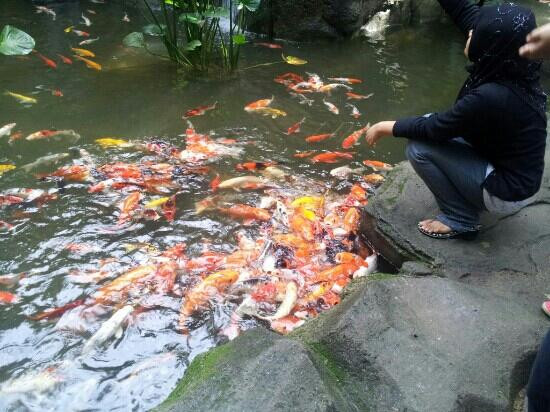 蝴蝶山庄-爱极乐必去景点