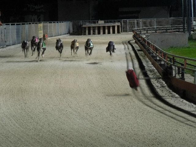 Lam Son Stadium-头顿必去景点