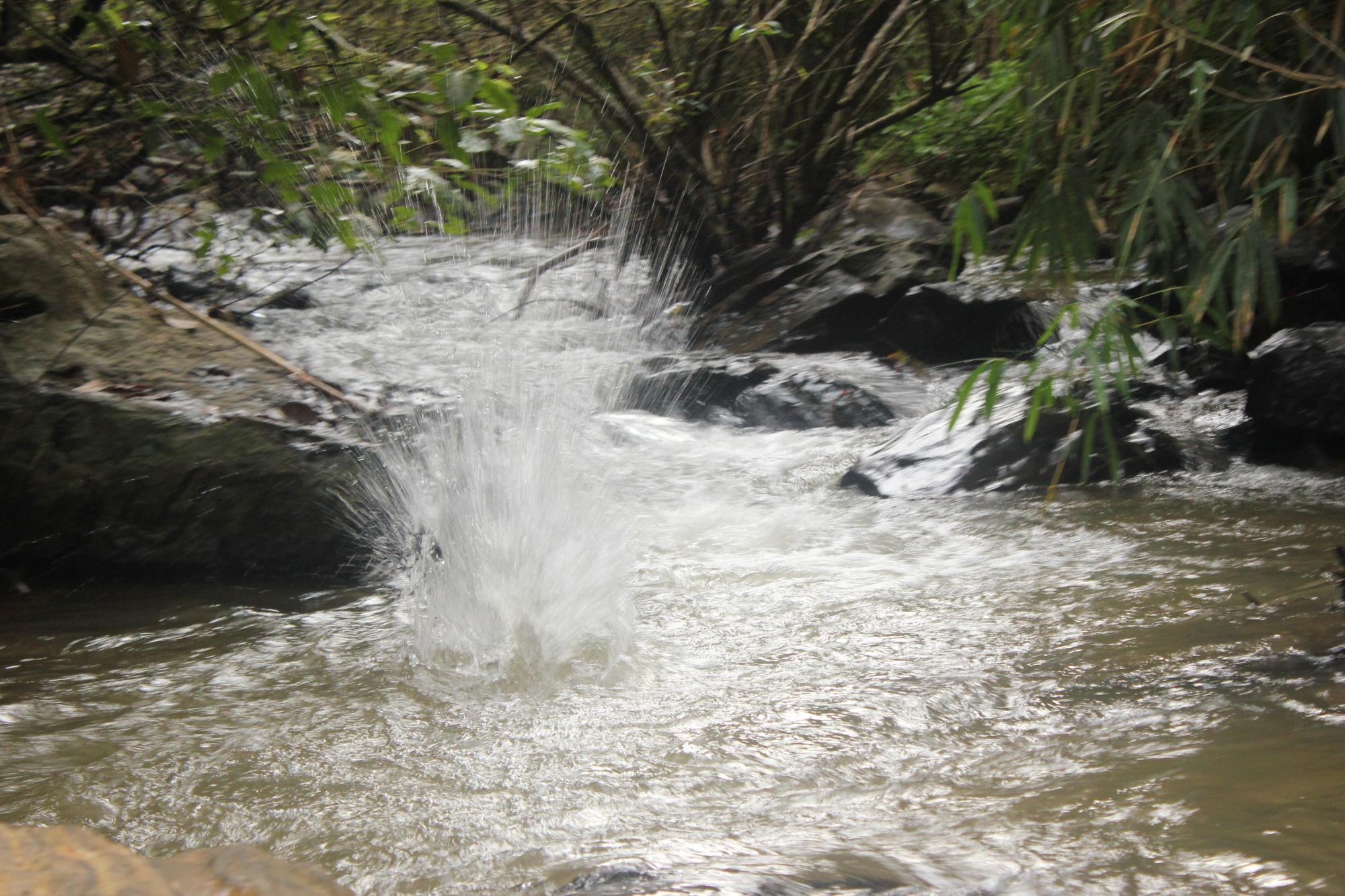 Coorg Coffee Hills Homestay-酒店景观