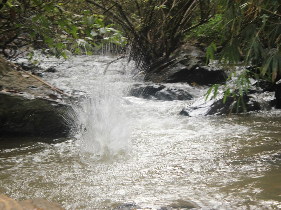 Coorg Coffee Hills Homestay主图