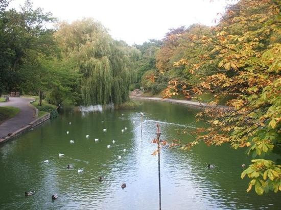 Botanical Gardens景点图片