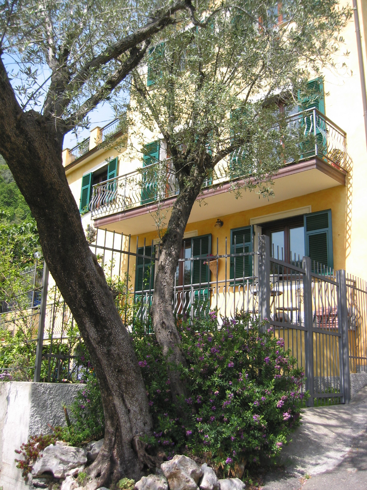 B&B Serenbella-官方