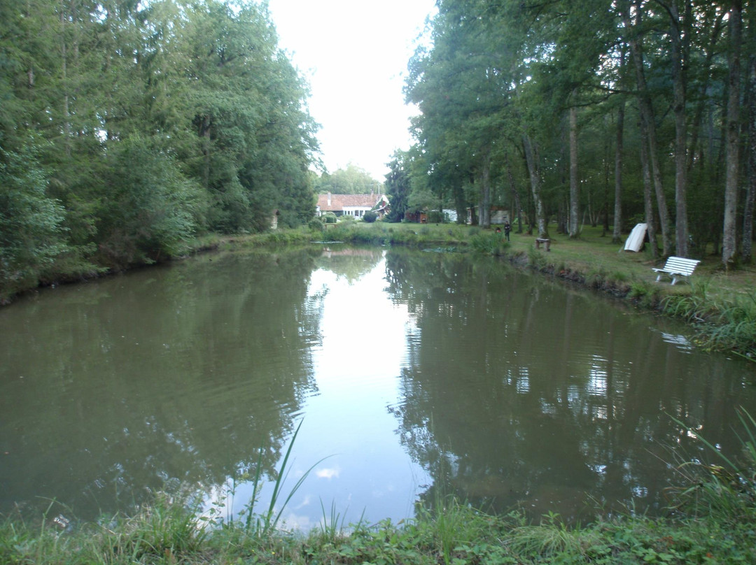 La Petite Noue主图