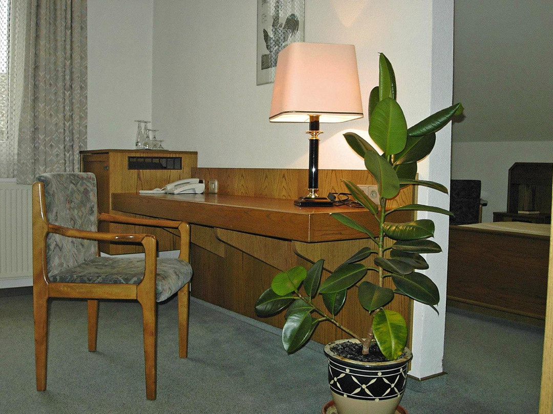 Hotel Villa Luise主图