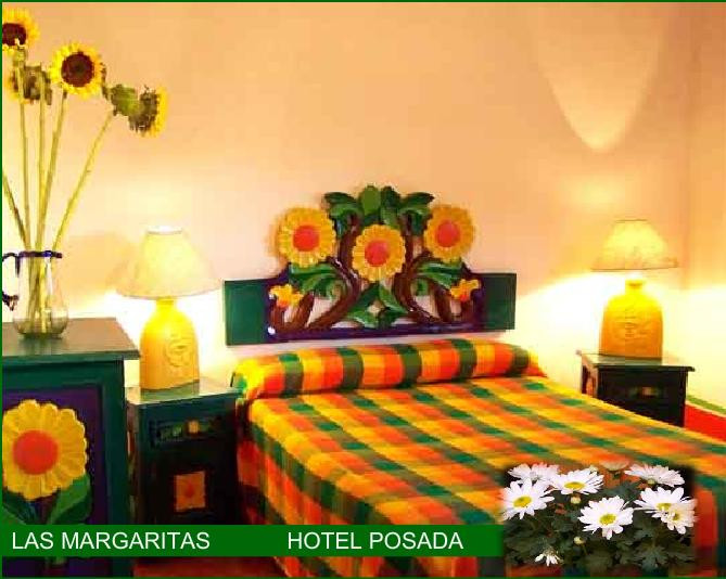 Sayula酒店住宿-Las Margaritas Hotel Posada