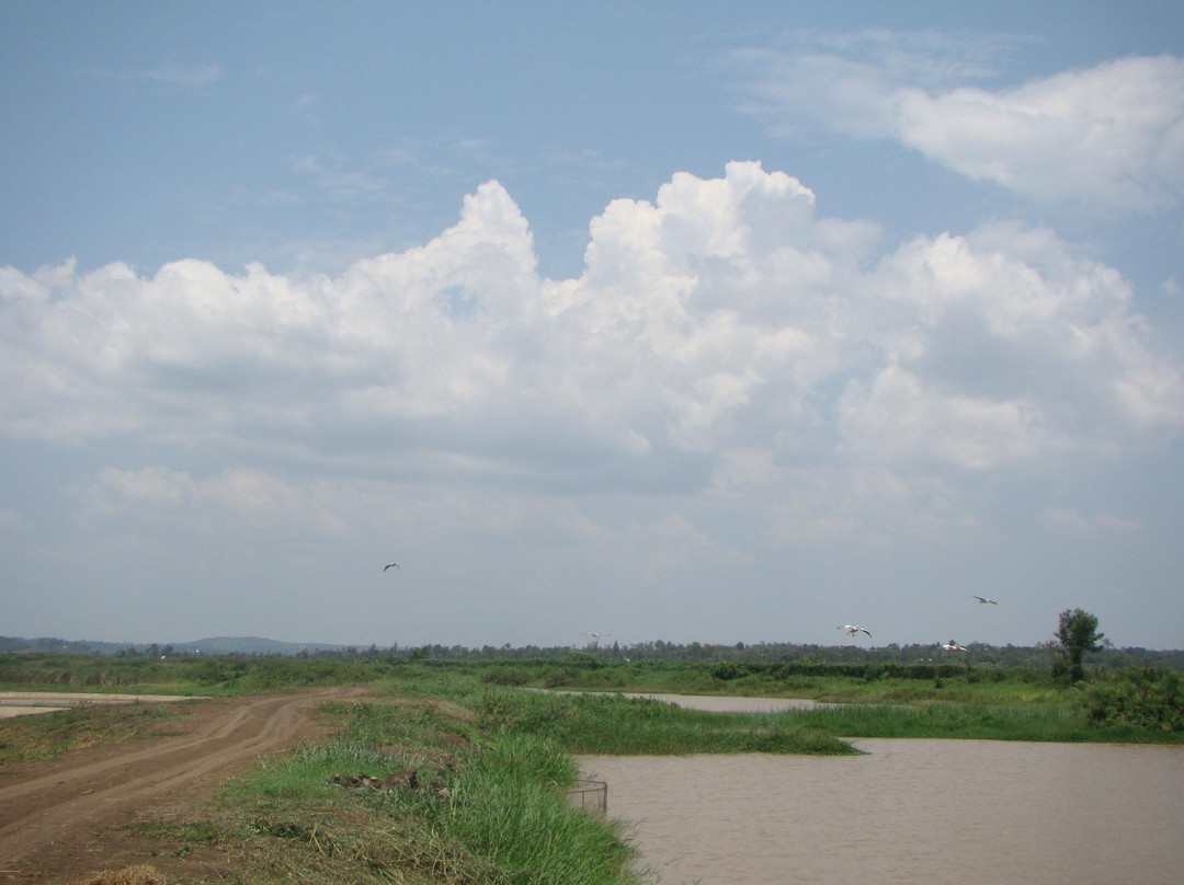 Lake Kanyaboli National Reserve-基苏木必去景点