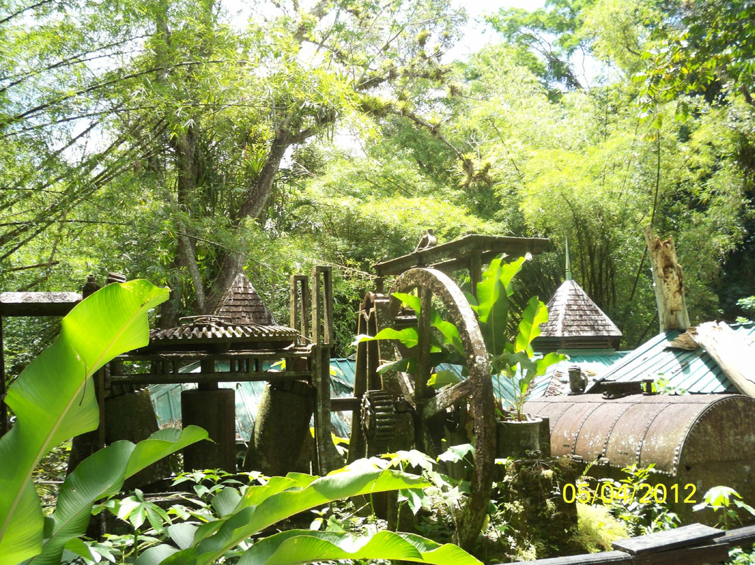 Arnos Vale Waterwheel and Nature Park-多巴哥必去景点