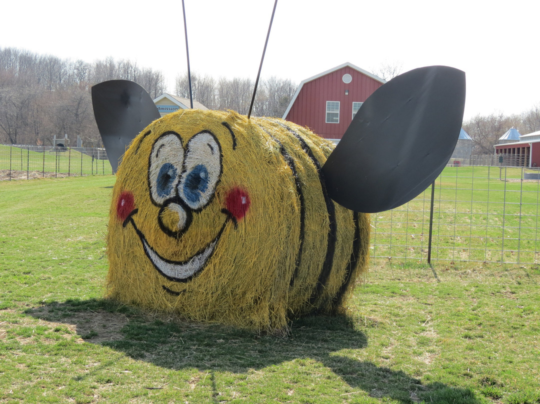 Busy Barns Adventure Farm-Fort Atkinson必去景点
