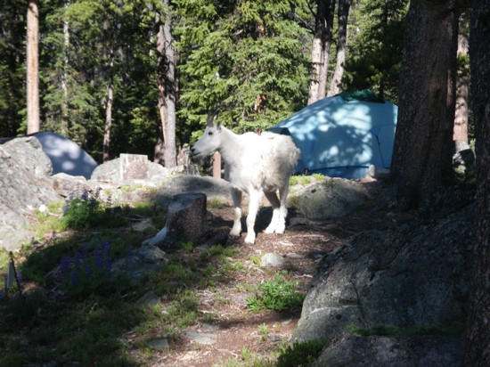 Cathedral Provincial Park-Keremeos必去景点