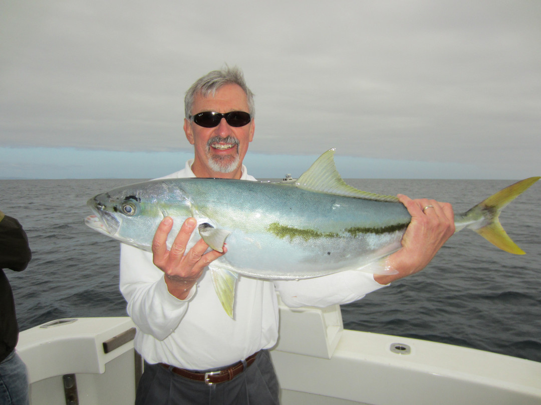 Strayline Fishing Charters-派希亚必去景点