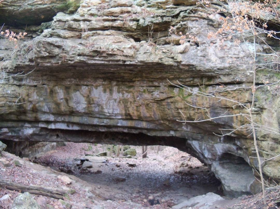 Ha Ha Tonka State Park景点图片