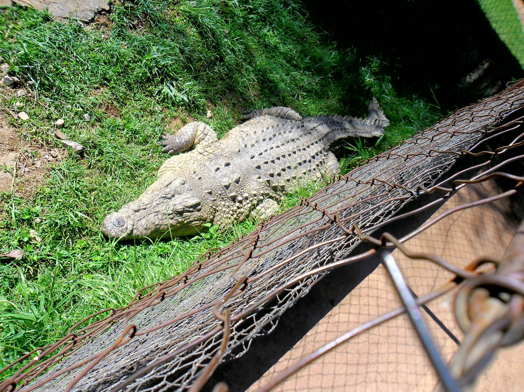 Kitale Museum-Kitale必去景点