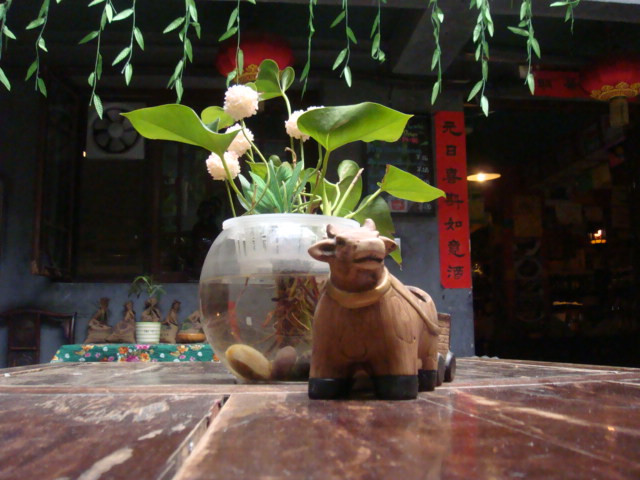 书院青年旅舍主图