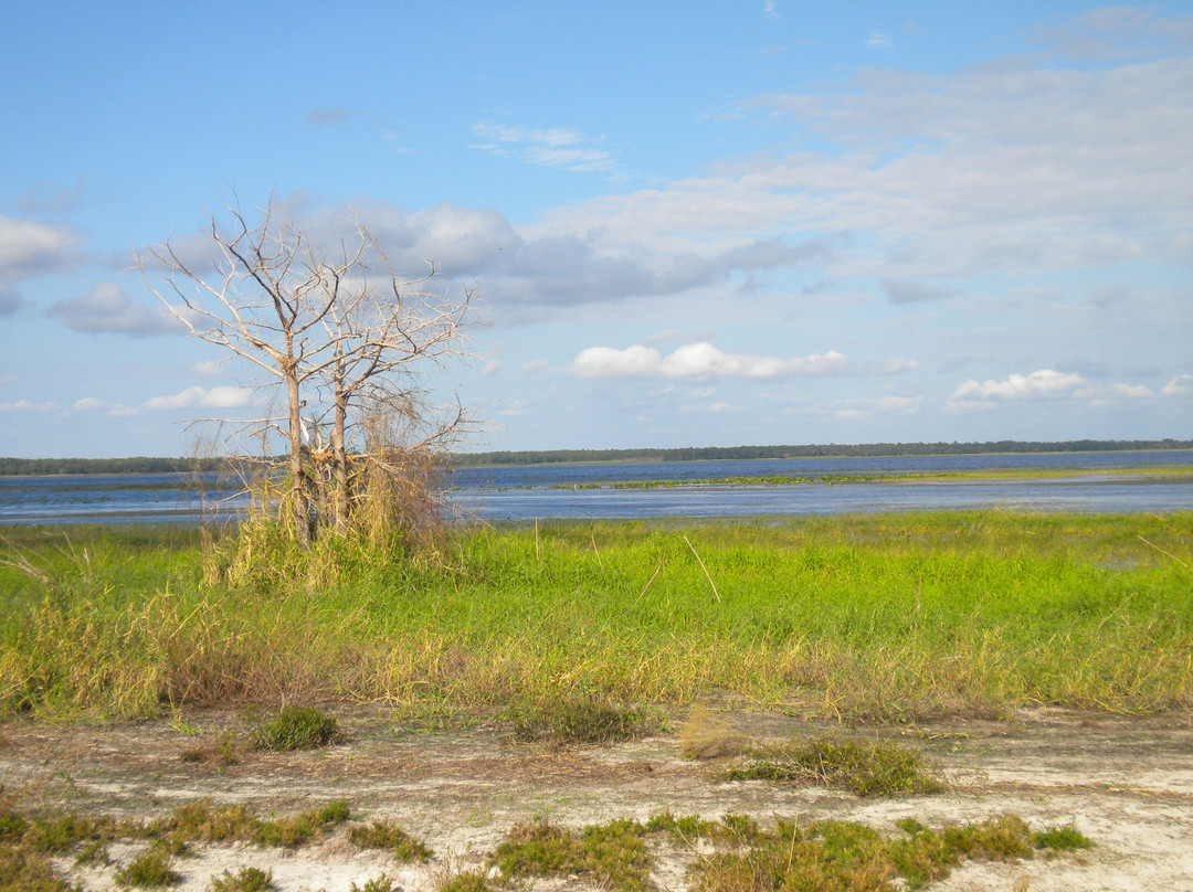 Lake Kissimmee State Park-莱克威尔士必去景点