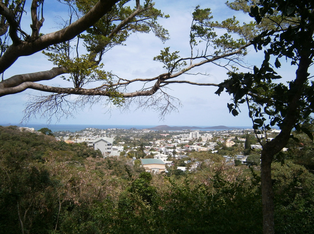 Parc zoologique et forestier-努美阿必去景点