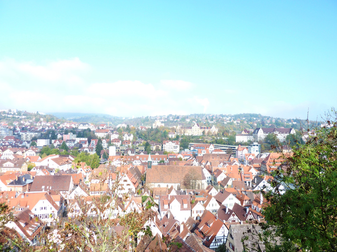 Schloss Hohentuebingen-图宾根必去景点